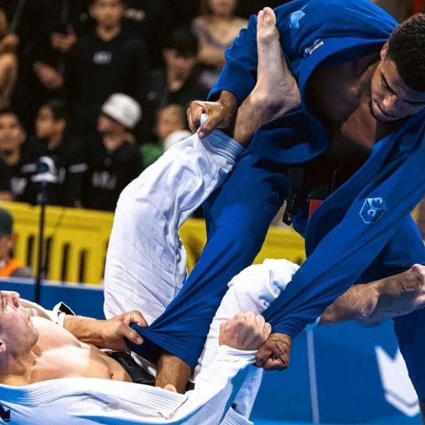 Découvrez les essentiels de la boutique de sport de combat